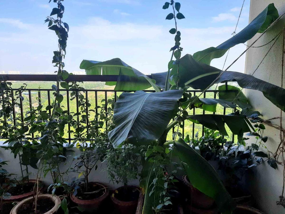 Sublime Homestay Bhubaneswar Bagian luar foto